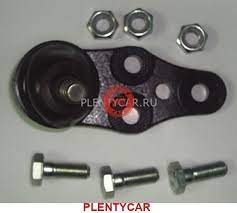 NEXIA SHARAVOY DONA NWS (8122)