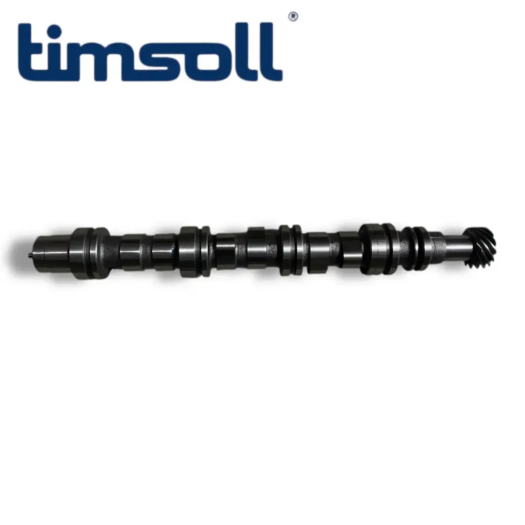 DAMAS RASPREDVAL timsoll
