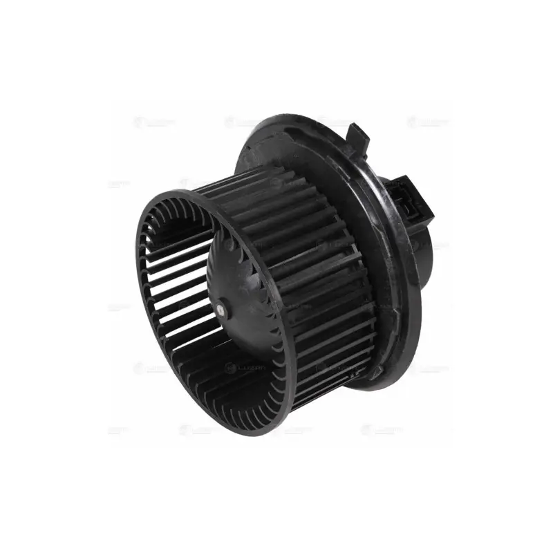 DAMAS PECHKA MOTORCHIK ORQA WXQP (85502)